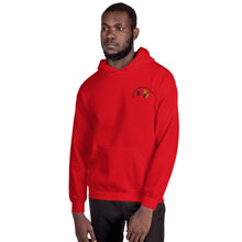 Lade das Bild in den Galerie-Viewer, Kapuzenpullover mit gesticktem BDB-Logo für Herren